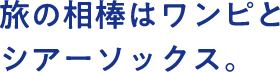 旅の相棒はワンピとシアーソックス。