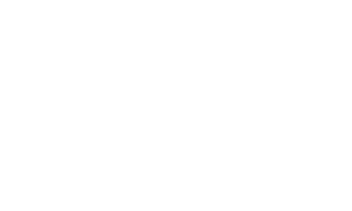 チームインタビュー