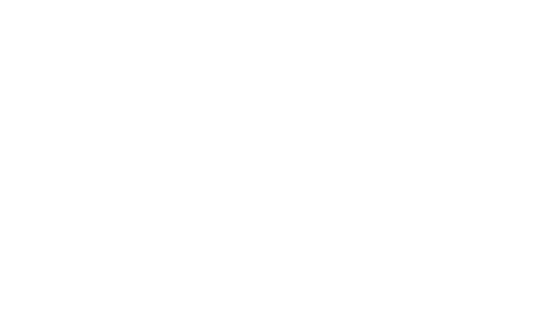 動画レポート